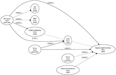 Computer-Aided Experiment Planning toward Causal Discovery in Neuroscience